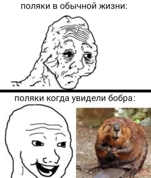 Мем, Кот Отморозкин