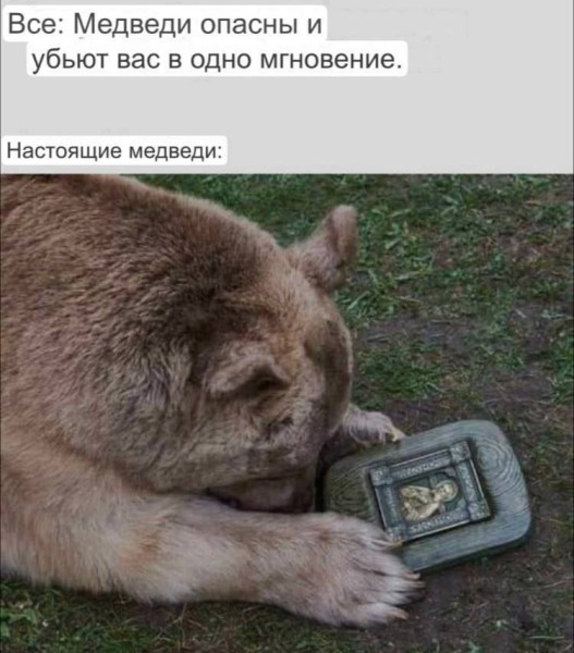 Мем, Кот Отморозкин