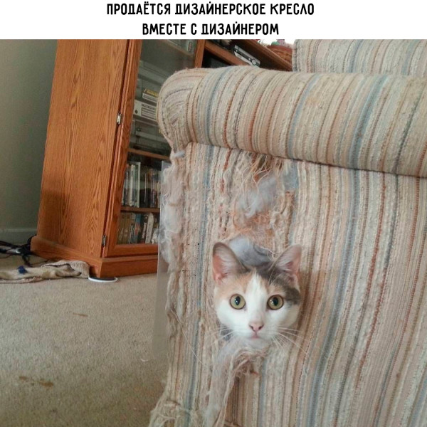 Мем, Леонид Хлыновский