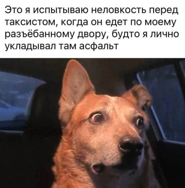 Мем: Прикол дня, iteam