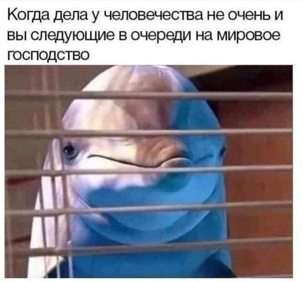Мем, Смехалка