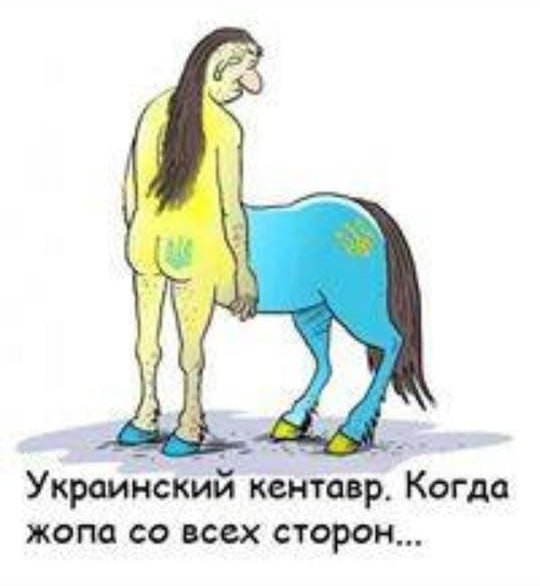 Мем, Максим Камерер