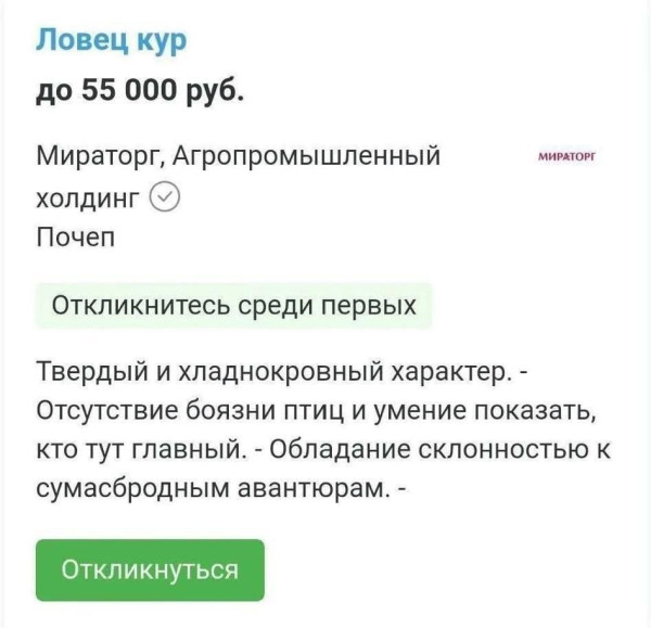 Мем, Максим Камерер