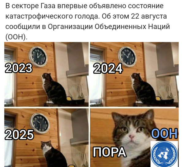 Мем: Только сейчас заметили...