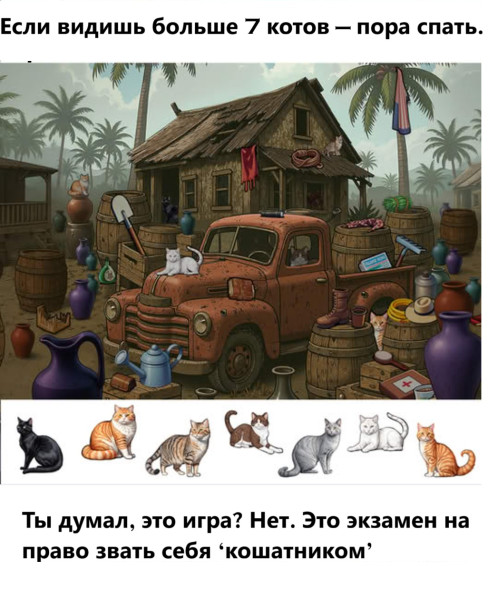 Мем, immar