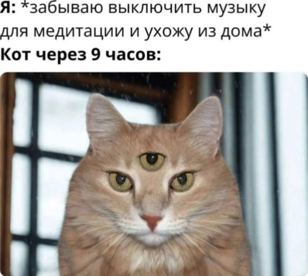 Мем, Mghost