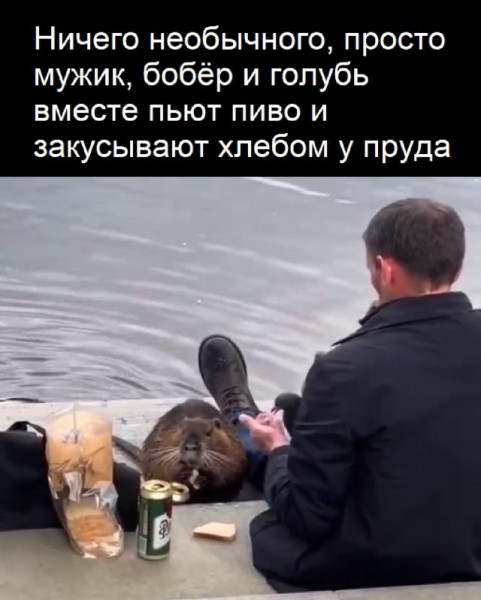 Мем, Смехалка