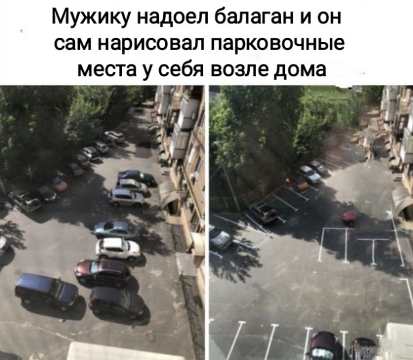 Мем, Рысь
