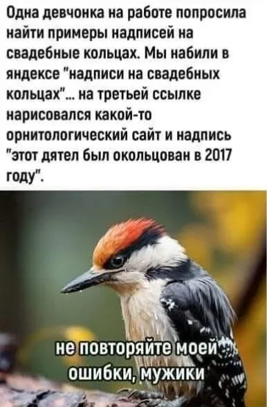 Мем, Смехалка
