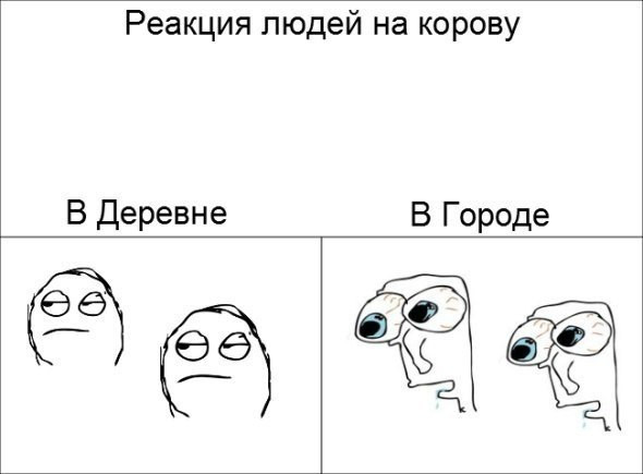 Мем, Кот Отморозкин