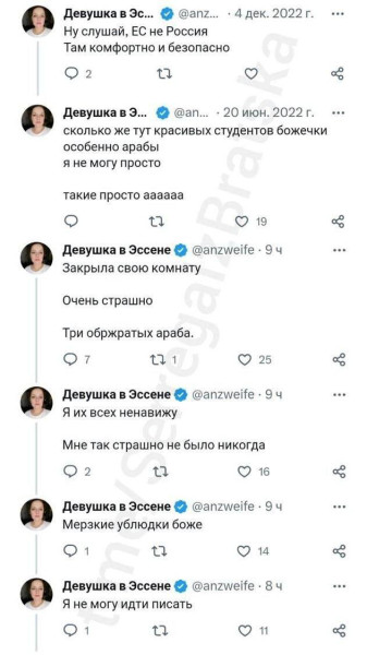 Мем: В Германии хорошо!, Максим Камерер