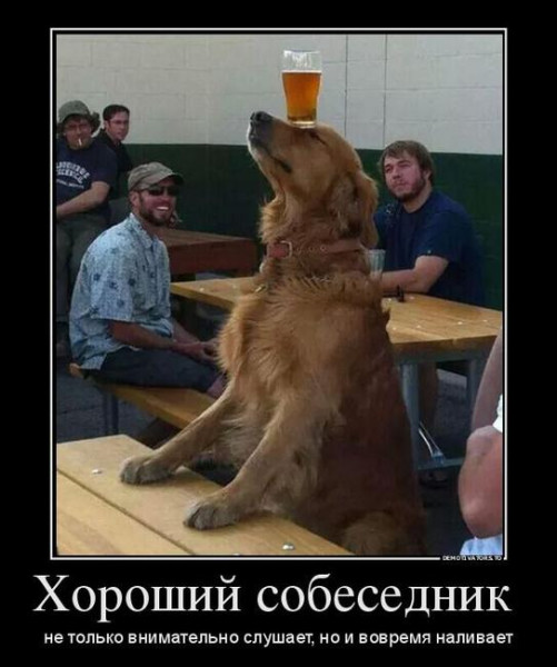 Мем: Юмор дня, Юмористка
