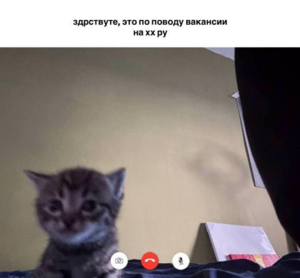Мем: Юмор и приколы, iteam