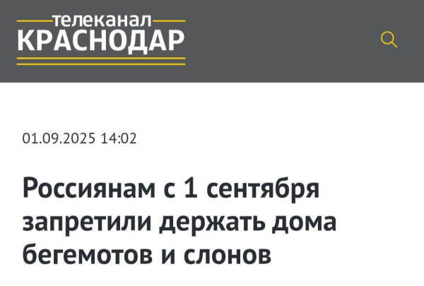 Мем, Максим Камерер Мем, Максим Камерер