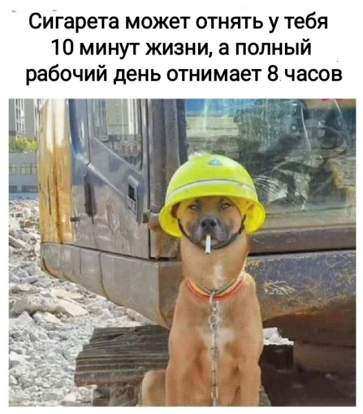 Мем, Рысь