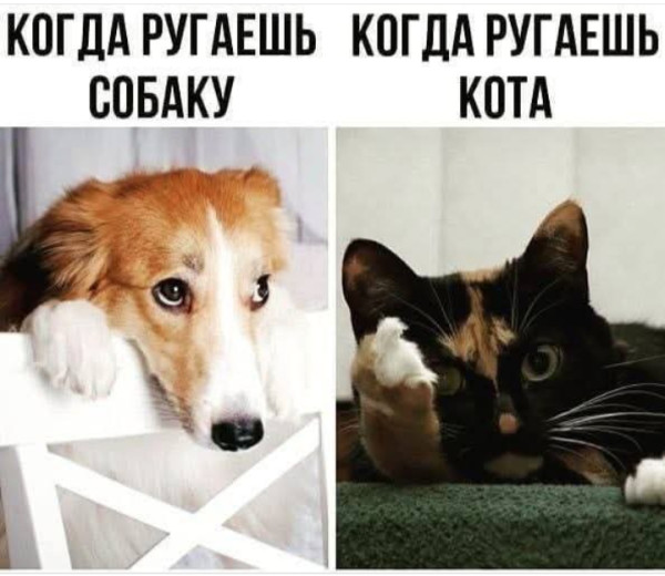 Мем, Анекдотчик