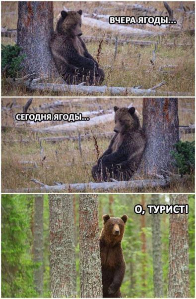 Мем, Hendry