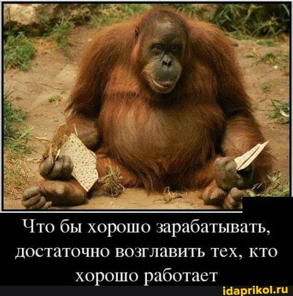 Мем, Byram