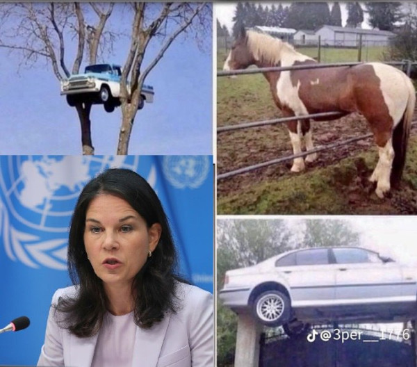 Мем, Максим Камерер