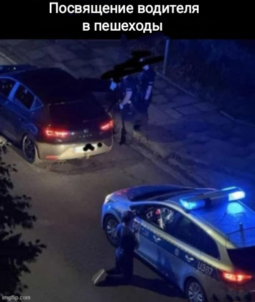 Мем, Рысь