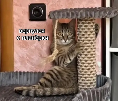 Мем: Планёрка, Denis_SB