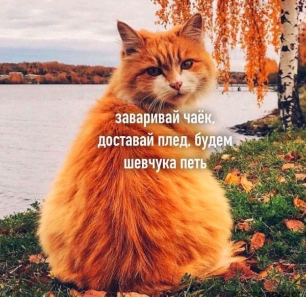 Мем, Hendry