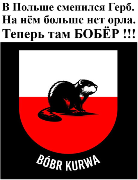Мем
