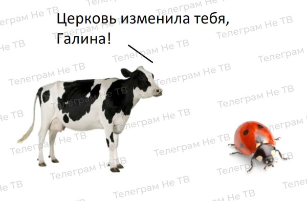 Мем, Ashmedai