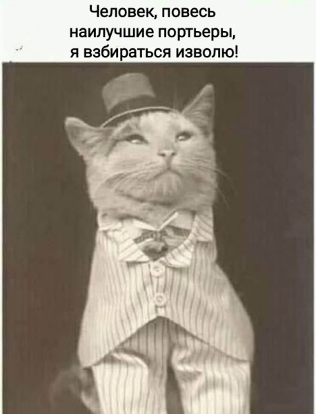 Мем, Рысь