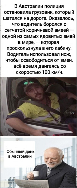 Мем, Рысь