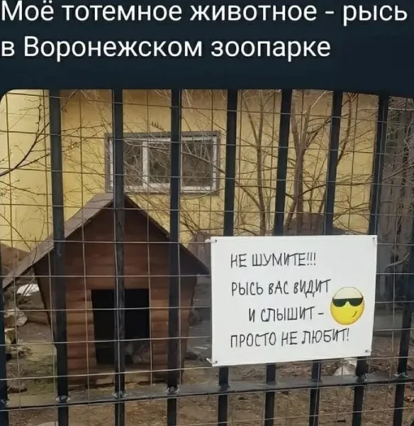 Мем, Смехалка