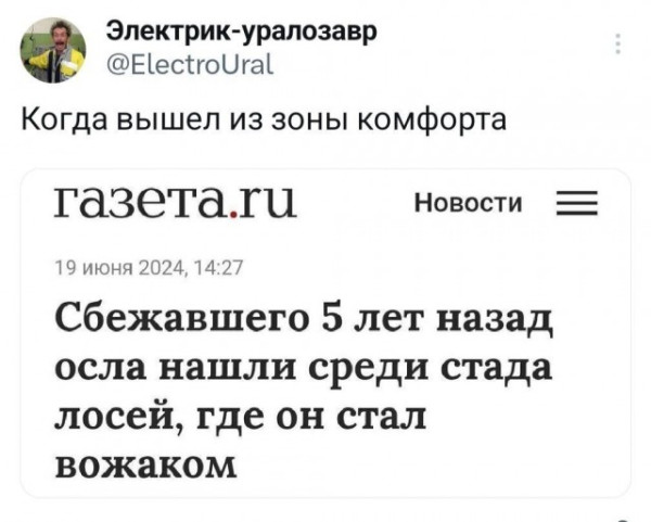 Мем, Смехалка