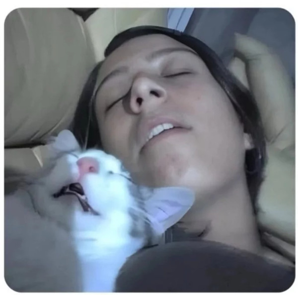 Мем, immar