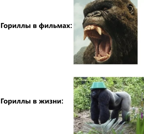 Мем, immar