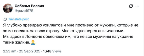 Мем, Максим Камерер