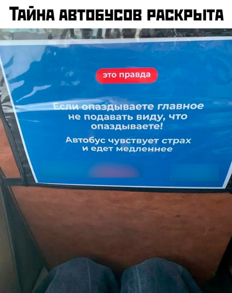 Мем: Тайна автобусов раскрыта., henh