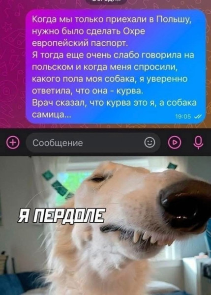 Мем, Ashmedai