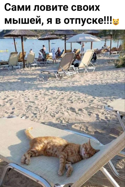Мем, Анекдотчик