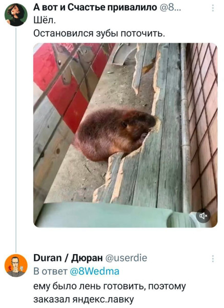 Мем, Смехалка