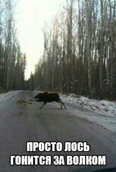 Мем, Смехалка