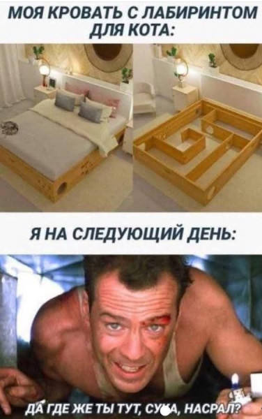 Мем, Анекдотчик