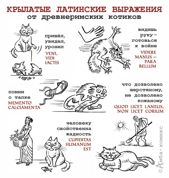 Мем, Mghost