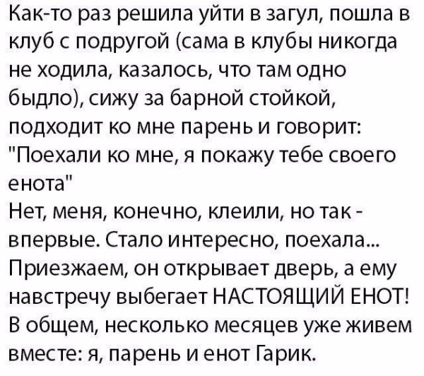 Мем, Mghost