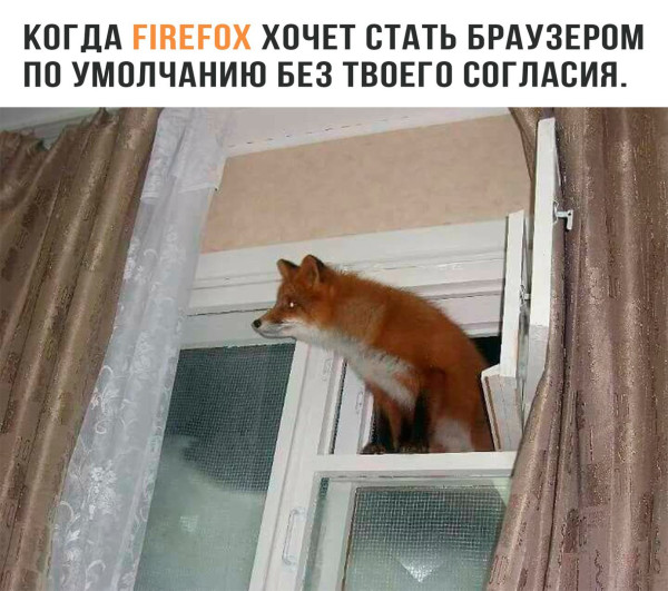 Мем, Кот Отморозкин