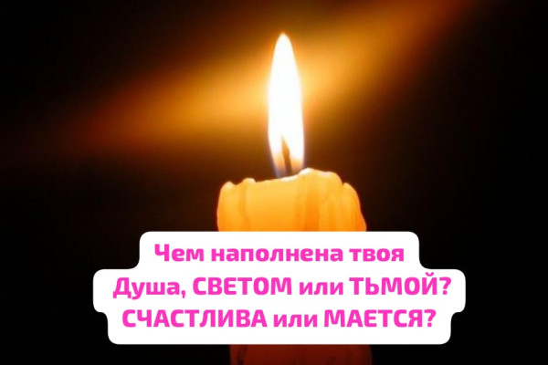 Мем, Laurus Мем, Laurus