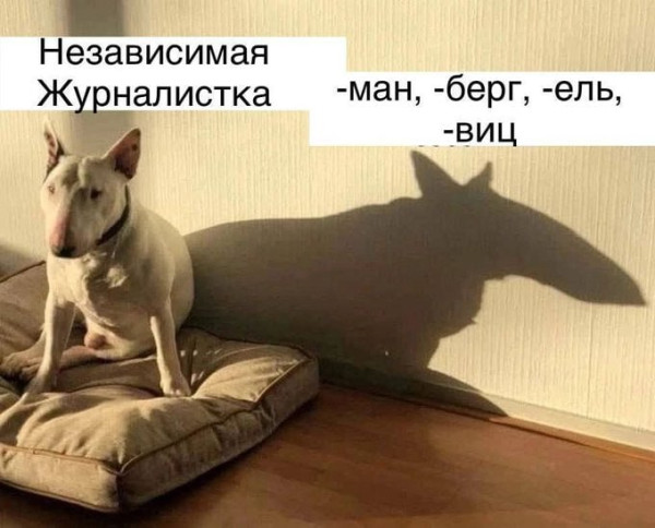 Мем: Шалом шаббат, Юрий Небольсин Мем: Шалом шаббат, Юрий Небольсин