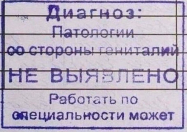Мем, Максим Камерер