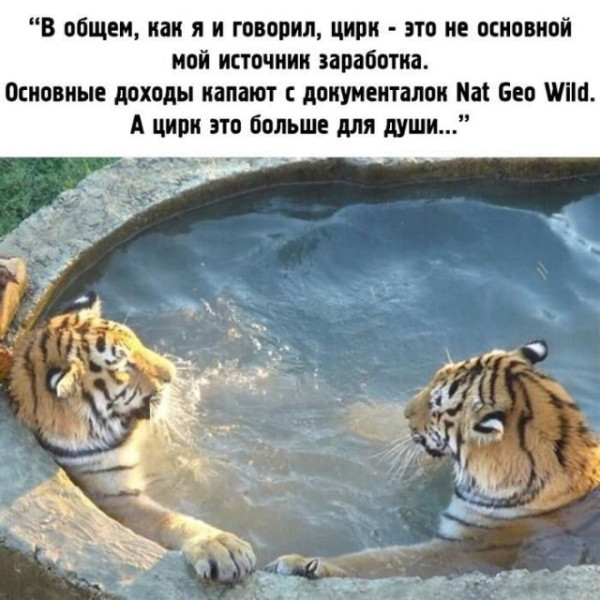 Мем, Смехалка