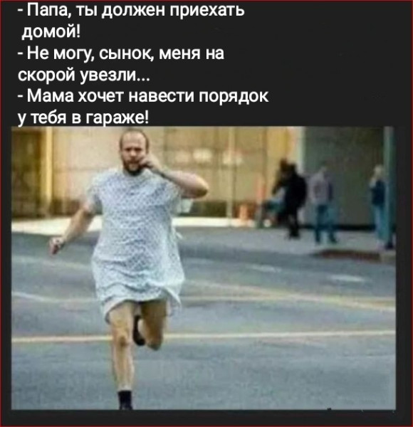 Мем, Рысь