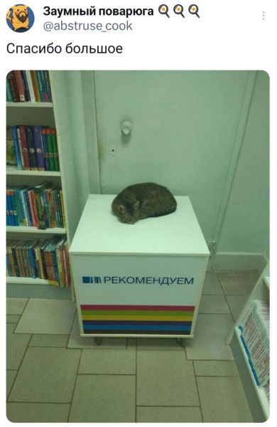 Мем, Смехалка